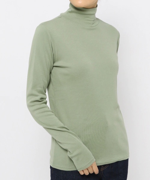 ウォームカラータートル＊